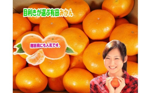 Lサイズ10kg 目利きが選ぶ有田みかん 1437592 - 和歌山県有田川町