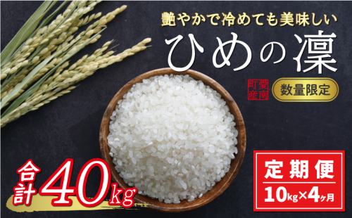 先行予約 新米 令和6年産 定期便 10kg × 4回 ひめの凜 合計 40kg 68000円 お米 白米 精米 米 こめ 産地直送 国産 農家直送 期間限定 数量限定 特産品 事前 令和6年度産 2024年産 新品種 人気 ブランド 大粒 もっちり 甘み 冷めても おいしい おにぎり コシヒカリ に負けない 内祝い お祝い 贈答品 お返し プレゼント 土産 御礼 お礼 お取り寄せ 愛南町 愛媛県 1437672 - 愛媛県愛南町