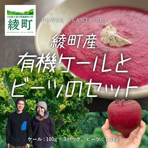 綾町産有機ケール 300g＆ビーツ 1.2kg[おすすめレシピ付き] 1437870 - 宮崎県綾町