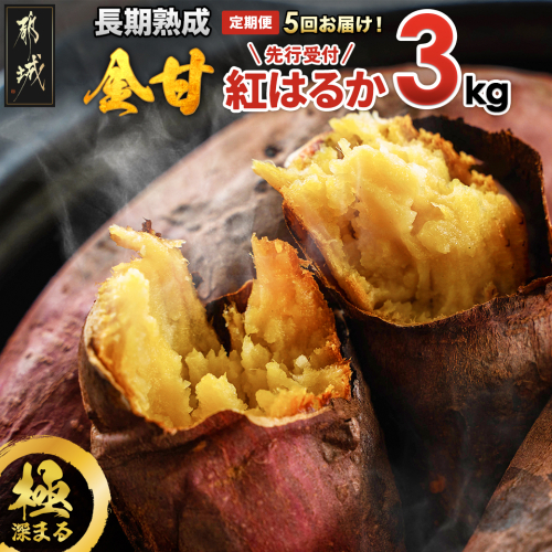 先行受付!【11月より5回お届け!】都城産 長期熟成紅はるか 3kg 定期便_TLE5-I201-11 1437880 - 宮崎県都城市