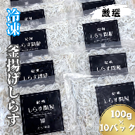 冷凍釜揚げしらす1kg（100g×10パック） / シラス 厳選 小分け 冷凍便 大容量 お米のおとも【dig003】