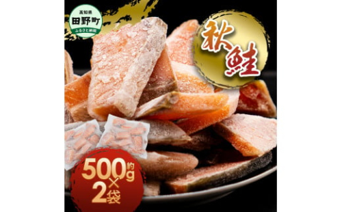 秋鮭のぶつ切り 約1g 500g×2袋 冷凍 小分け 切り身 切り落とし 秋鮭切り身 さけ サケ 国産 国内産 鮭 切り身 天然 鮭茶漬け お弁当 おかず 便利 和食 家族 おいしい 1438224 - 高知県田野町