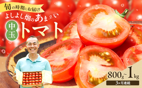 【最旬お届け確約】3ヶ月連続  よしよし畑のあま～い トマト ( 中玉トマト ) 800g ～ 1kg 計約3kg 程度 新鮮 産地直送  とまと 頒布会 定期便 おいしい おすすめ ギフト お取り寄せ 1438256 - 兵庫県加西市