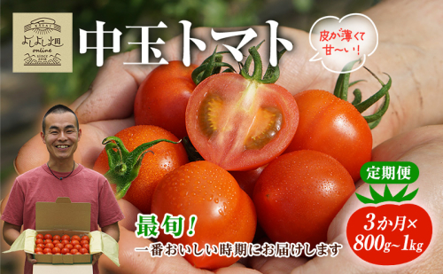 【最旬お届け確約】3ヶ月連続  よしよし畑のあま～い トマト ( 中玉トマト ) 800g ～ 1kg 計約3kg 程度 新鮮 産地直送  とまと 頒布会 定期便 おいしい おすすめ ギフト お取り寄せ 1438256 - 兵庫県加西市