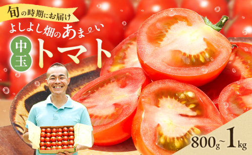 【最旬お届け!!】よしよし畑のあま～い トマト ( 中玉トマト ) 800g ～ 1kg 程度 新鮮 産地直送 冷蔵 とまと おいしい おすすめ ギフト お取り寄せ 1438258 - 兵庫県加西市