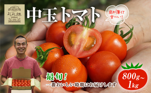 【最旬お届け!!】よしよし畑のあま～い トマト ( 中玉トマト ) 800g ～ 1kg 程度 新鮮 産地直送 冷蔵 とまと おいしい おすすめ ギフト お取り寄せ 1438258 - 兵庫県加西市