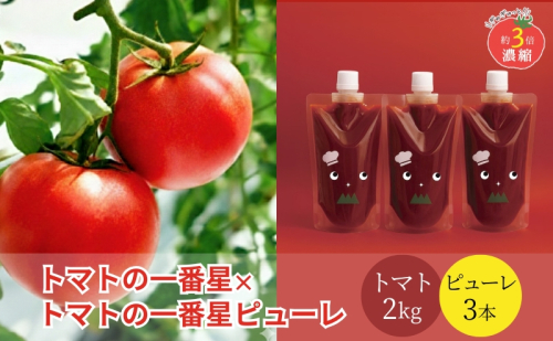 トマト 2kg+トマトの一番星ピューレ 380g×3本セット 兵庫県産 野菜 とまと 完熟 高糖度 濃厚 甘い 賞 受賞 糖度 夏野菜 あまい お取り寄せ 冷蔵配送 1438259 - 兵庫県加西市