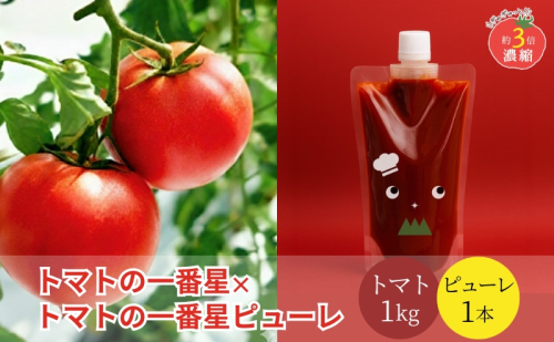 トマト 1kg+トマトの一番星ピューレ 380g×1本セット 兵庫県産 野菜 とまと 完熟 高糖度 濃厚 甘い 賞 受賞 糖度 夏野菜 あまい お取り寄せ 冷蔵配送 1438260 - 兵庫県加西市