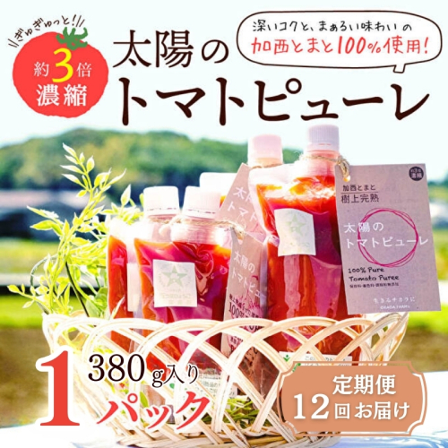 定期便 12ヶ月 太陽のトマトピューレ 1本 380g×12回　トマトピューレ トマト ピューレ とまと 五つ星ひょうご 無添加 スパゲッティ スパゲティ パスタ ぱすた リゾット スープ イタリアン 兵庫県 加西市 1438265 - 兵庫県加西市