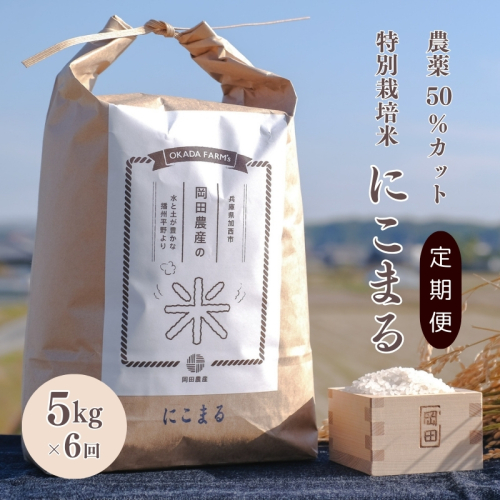 定期便 令和6年産 白米 5kg×6回 特別栽培米 にこまる （ 山田錦 ）　米 お米 こめ コメ 特栽米 5kg 6回 30kg ひょうご安心ブランド ご飯 ごはん ゴハン 精米 兵庫県 加西市 1438268 - 兵庫県加西市