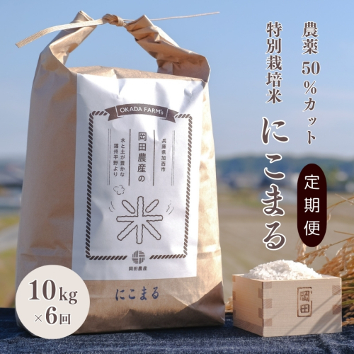 定期便 令和6年産 白米 10kg×6回 特別栽培米 にこまる （ 山田錦 ）　米 お米 こめ コメ 特栽米 10kg 6回 60kg ひょうご安心ブランド ご飯 ごはん ゴハン 精米 兵庫県 加西市 1438271 - 兵庫県加西市