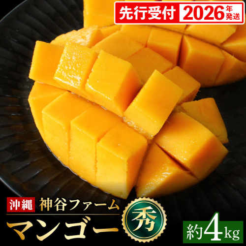 【化粧箱入】【先行受付・2026年発送】神谷ファームのマンゴー（秀）約4kg - 先行予約 沖縄県産 産地直送 南国フルーツ 旬の味覚 季節の果物 贈り物 ギフト 沖縄県 八重瀬町 143883 - 沖縄県八重瀬町