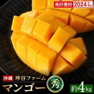 【2022年発送】神谷ファームのマンゴー（秀）約4kg