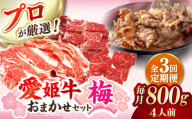 [全3回定期便]希少な国産ブランド牛!「愛姫牛」店主におまかせ旬セット[梅]800g(4人前)牛肉 お肉 ステーキ 国産肉 焼肉 グルメ 送料無料 お取り寄せ ＼レビューキャンペーン中/愛媛県大洲市/有限会社 木村屋精肉店 [AGCC055]