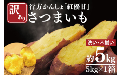【訳あり】行方かんしょ「紅優甘」さつまいも約5kg(洗い・不揃い)｜さつまいも サツマイモ さつま芋 お芋 紅優甘 行方かんしょ 訳あり わけあり 訳アリ 茨城県 行方市(AE-94)