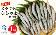 訳あり ししゃも 1kg カラフト 丸干し 干物 ひもの セット 冷凍 沼津 静岡