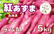 木所かんしょ（紅あずま）５㎏【栽培期間中化成肥料不使用】洗浄済 さつまいも Mサイズ
