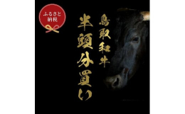 【ふるさと納税】【定期便】和牛セレブ鳥取和牛半頭分（24分割配送）