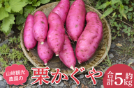 AU015　【数量限定】山崎観光農園の栗かぐや　約5kg