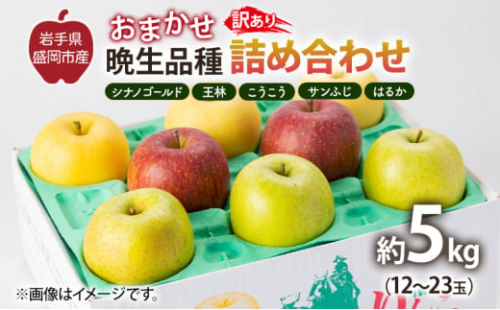 盛岡から「農で人をつなぐ」藤与果樹園：《訳アリ》おまかせ晩生品種詰め合わせ（シナノゴールド、王林、こうこう、サンふじ、はるか、金星、ぐんま名月、シナノスイート等から２種以上）5kg 訳アリ 不揃い 傷 規格外 フルーツ 果物 旬のフルーツ 旬の果物 旬 冬 岩手 盛岡 産地直送 玉数指定不可 詰め合わせ 岩手 盛岡
