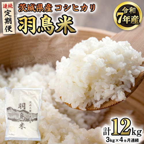 《全4回 定期便》《 令和7年産 先行予約 》 コシヒカリ 「幻の米 羽鳥米」 計 12kg (3kg × 4回) 筑波北麓秘蔵米 お米 ごはん 精米 コメ 白米 国産 茨城県 桜川市 限定 期間限定 数量限定 銘柄米 [AX005sa] 1441639 - 茨城県桜川市