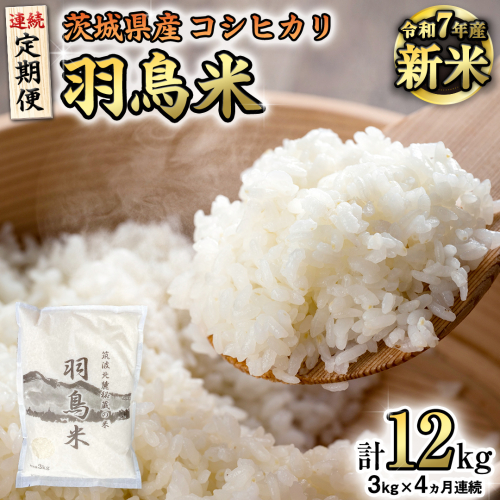 《全4回 定期便》《 令和7年産 先行予約 》 コシヒカリ 「幻の米 羽鳥米」 計 12kg (3kg × 4回) 筑波北麓秘蔵米 お米 ごはん 精米 コメ 白米 国産 茨城県 桜川市 限定 期間限定 数量限定 銘柄米 [AX005sa] 1441639 - 茨城県桜川市