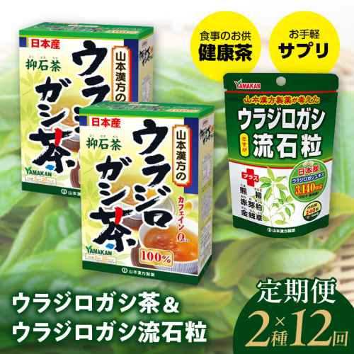 ＜12ヶ月連続＞ウラジロガシ茶＆ウラジロガシ 流石粒[027Y34-T] 1441799 - 愛知県小牧市
