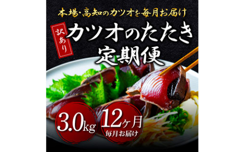 t093kyf　《12ヵ月定期便》「訳あり カツオのたたき 3.0kg」故郷納税【順次発送中】規格外 サイズ不揃い 傷 わけあり 人気 ランキング 本場 高知 土佐 かつおのたたき 返礼品 カツオのタタキ かつおのタタキ 訳アリ 訳 海鮮 【koyofr】 144184 - 高知県芸西村