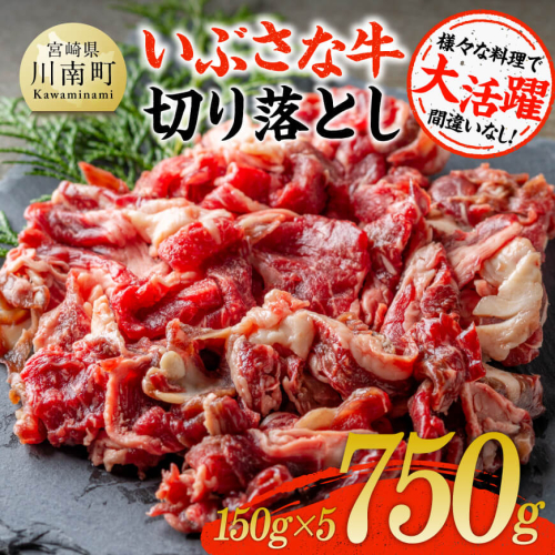 いぶさな牛切り落とし750g（150g×5パック） 【 宮崎県産 牛 切り落とし 黒毛和牛 】 1441928 - 宮崎県川南町