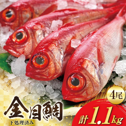 BI094 金目鯛 大サイズ (200g～300g) 4尾 計1.1kg 程度 ＜下処理済み＞【 鯛 たい タイ キンメダイ キンメ 真空パック 個包装 煮付け 塩焼き 冷凍 焼き魚 長崎県 島原市 】 1442025 - 長崎県島原市