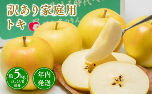 年内発送 【訳あり】家庭用 トキ 約5kg【那由多のりんご園・平川市産】 1442127 - 青森県平川市