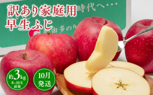 10月発送 【訳あり】家庭用早生ふじ 約3kg 【那由多のりんご園・平川市産】 1442136 - 青森県平川市