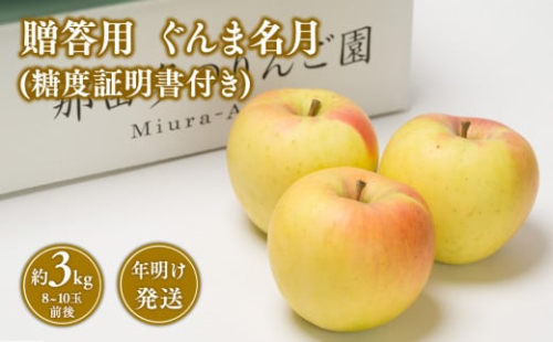 年明け発送 贈答用ぐんま名月約3kg（糖度証明書付き） 【那由多のりんご園・平川市産】 1442152 - 青森県平川市