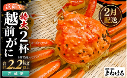 水産卸売市場にて越前ガニを競りで買い付け、釜茹でした後、その日に冷蔵便（未冷凍）で発送しています。冬の味覚として、越前ガニの食べ応えのある身とかに味噌、旨み、甘み、コクをご堪能ください。※画像はイメー