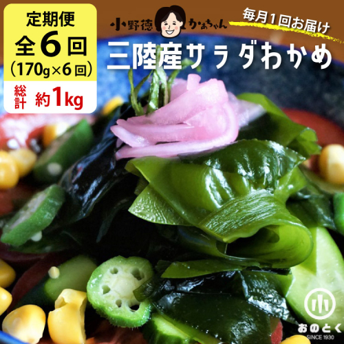 【2つの食感】6回 定期便  三陸産 サラダわかめ 170g ×6回 総計 約1kg [小野徳 宮城県 気仙沼市 20565589] 海藻 ワカメ わかめ 若布 塩蔵わかめ 塩蔵 コリコリ シャキシャキ 冷蔵 144223 - 宮城県気仙沼市