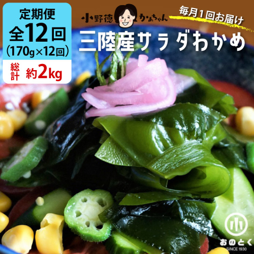 【2つの食感】12回 定期便  三陸産 サラダわかめ 170g ×12回 総計 約2kg [小野徳 宮城県 気仙沼市 20565590] 海藻 ワカメ わかめ 若布 塩蔵わかめ 塩蔵 コリコリ シャキシャキ 冷蔵 144224 - 宮城県気仙沼市