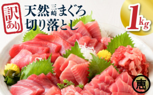 【訳あり】天然三崎まぐろ 1kg たっぷり10人分！不揃い赤身　M020-013