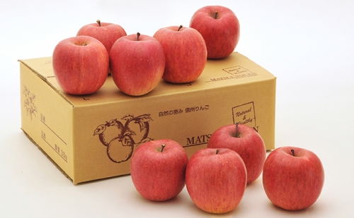信州小諸　松井農園の秋映　約3.5kg 果物類 林檎 りんご リンゴ 144349 - 長野県小諸市