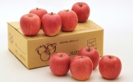 信州小諸 松井農園のシナノスイート 約3.5kg 果物類・林檎・りんご・リンゴ