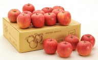 信州小諸　松井農園のシナノスイート　約5kg 果物類・林檎・りんご・リンゴ