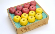 信州小諸　松井農園のサンふじ・シナノゴールド詰合せ　約5kg 果物類・林檎・りんご・リンゴ
