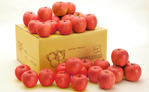 信州小諸　松井農園のシナノスイート　約10kg 果物類・林檎・りんご・リンゴ 144358 - 長野県小諸市