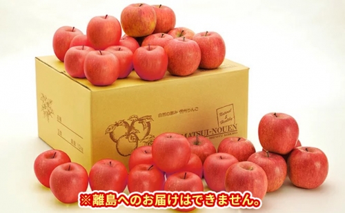 信州小諸　松井農園のサンふじ 約10kg 果物類 林檎 りんご リンゴ 144360 - 長野県小諸市