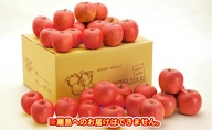 信州小諸　松井農園のサンふじ 約10kg 果物類 林檎 りんご リンゴ