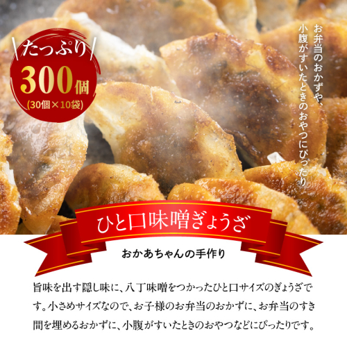 居酒屋のおかあちゃん手作り 店の看板メニュー ひと口味噌ぎょうざ 300個(30個×10袋)　H136-030 144368 - 愛知県碧南市