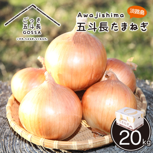 五斗長玉ねぎ 20kg　玉ねぎ 144443 - 兵庫県淡路市