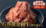 牛肉 石巻 黄金 和牛 切り落とし 300g×2P 赤身 国産 美味しい 使いやすい 小分け 肉 お肉 細切れ おかず すき焼き 焼肉 冷凍