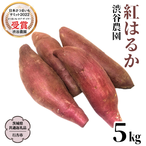 紅はるか 約5kg 【茨城県共通返礼品／行方市】2024年11月から発送開始 渋谷農園 さつまいも いも 芋 焼芋 [DT001sa] 1445605 - 茨城県桜川市