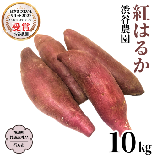 紅はるか 約10kg 【茨城県共通返礼品／行方市】2024年11月から発送開始 渋谷農園 さつまいも いも 芋 焼芋 [DT002sa] 1445606 - 茨城県桜川市