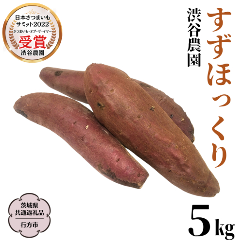 すずほっくり 約5kg 【茨城県共通返礼品／行方市】 渋谷農園 さつまいも  いも 芋 焼芋 [DT005sa] 1445619 - 茨城県桜川市